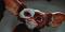 Gizmo's Avatar